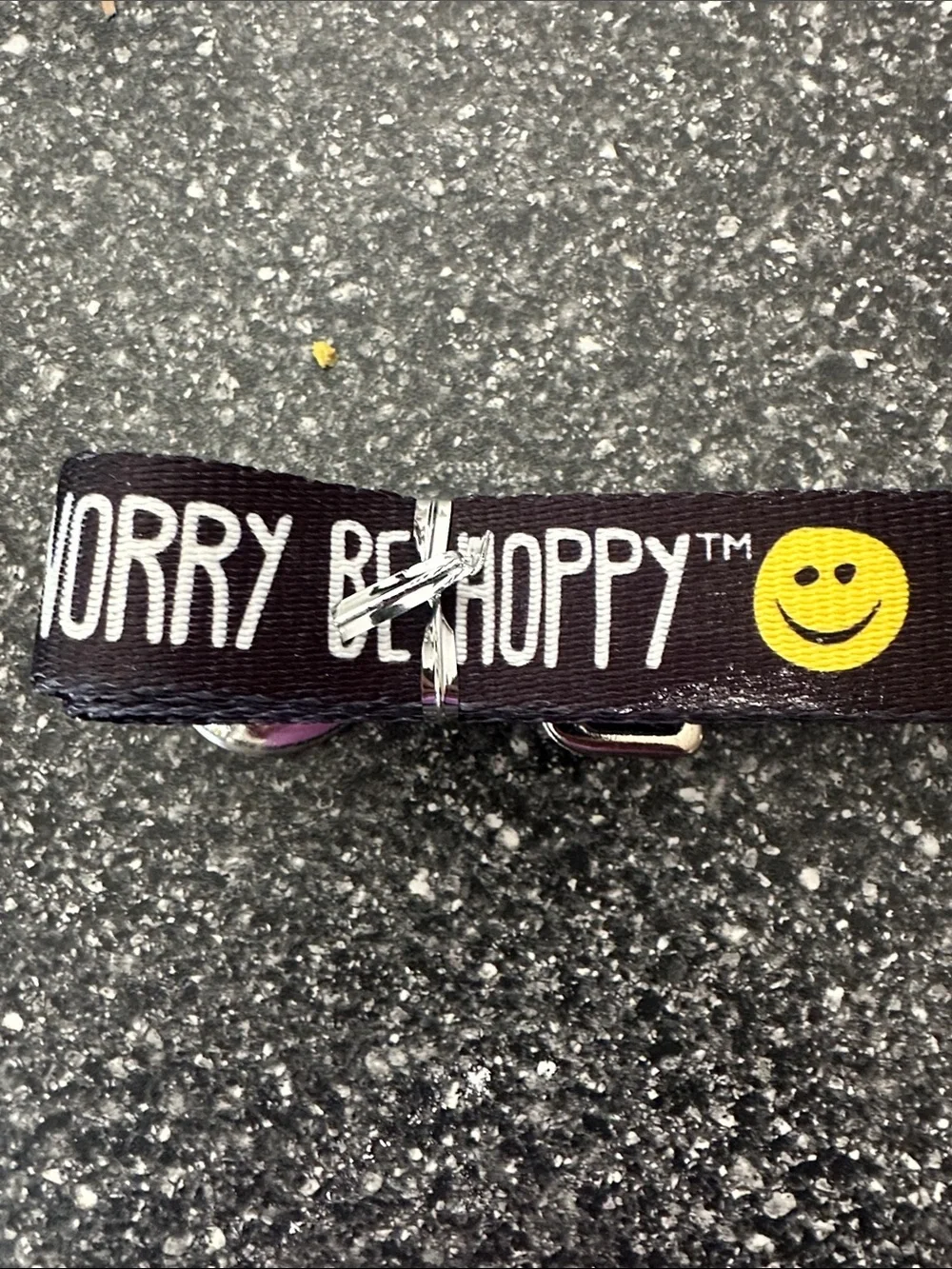 Wormtown Brewery Dog Leash with Smiley Accent - Large